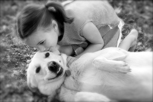 犬と女の子の写真